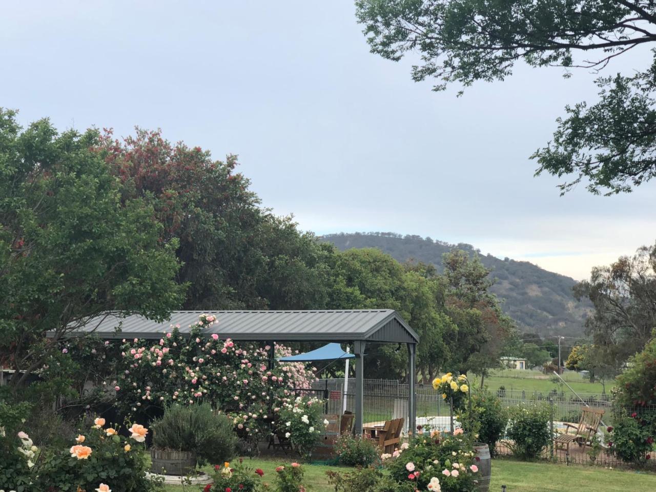 Valley View Motel Murrurundi ภายนอก รูปภาพ